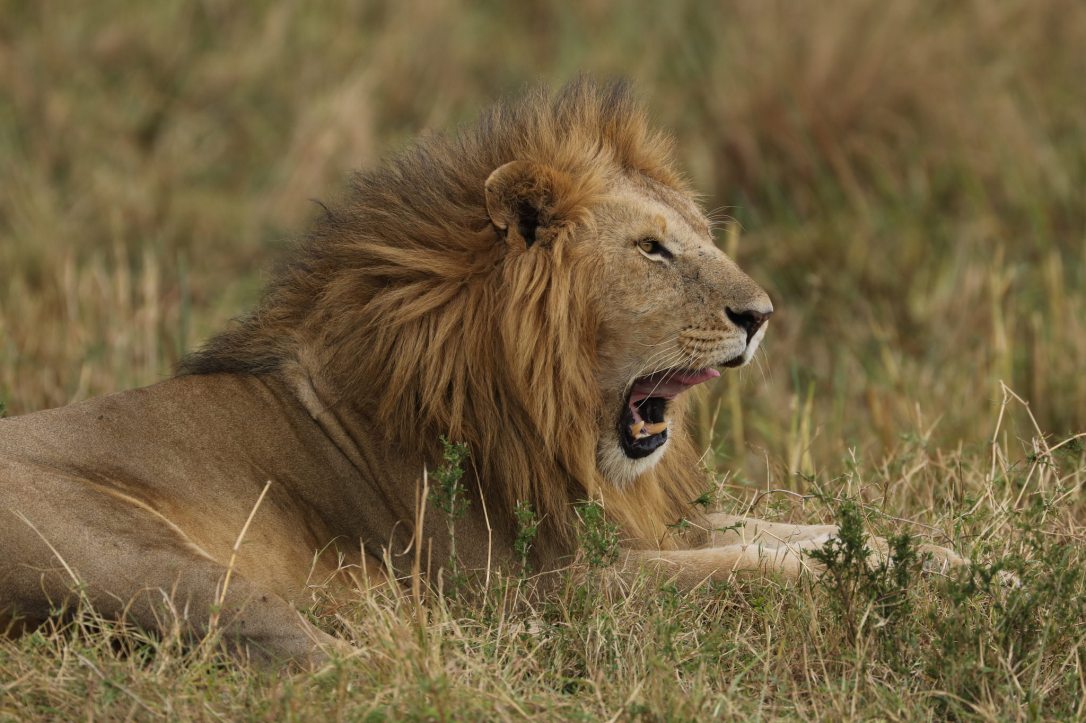 34696032184_93066b81b6_k_d