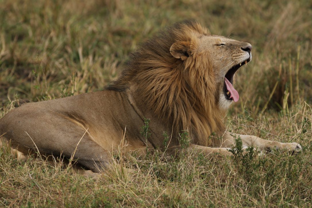 34727892483_1def291a33_k_d