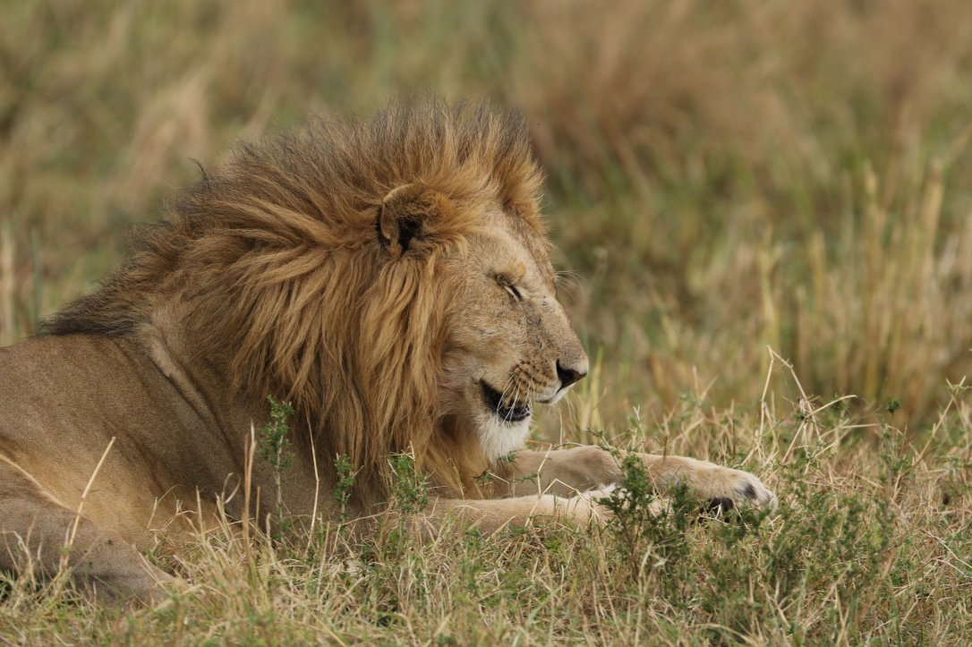 35537371885_8731907699_k_d