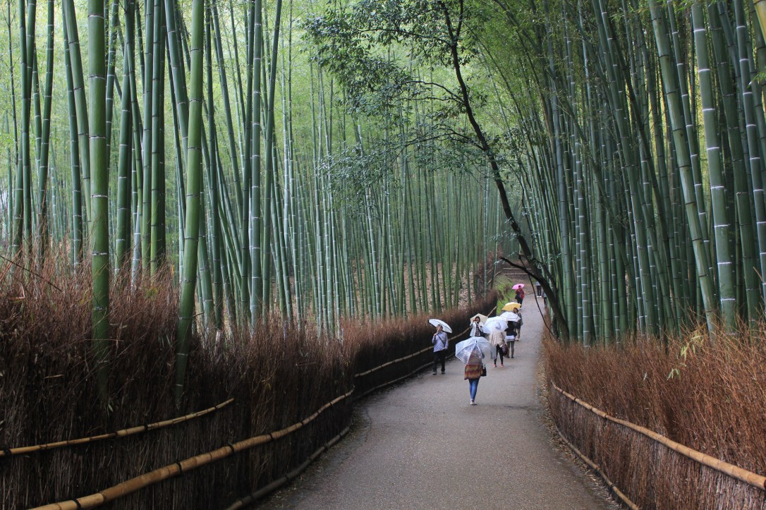 8282029993_da0e446c6b_k